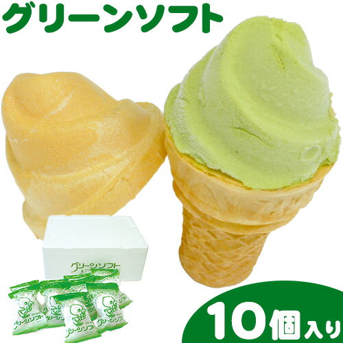 【ふるさと納税】抹茶入りソフトクリーム グリーンソフト 10個入り 玉林園《30日以内に出荷予定(土日祝除く)》 和歌山県 紀の川市 抹茶 ソフト ソフトクリーム アイス スイーツ 10個 冷凍 送料無料