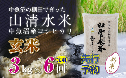 【新米先行受付】【定期便／全6回】玄米3kg　新潟県魚沼産コシヒカリ「山清水米」