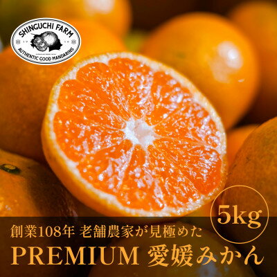【ふるさと納税】老舗農家が見極めたプレミアム【愛媛みかん5kg】【愛媛県川上産】【B70-90】【1671013】