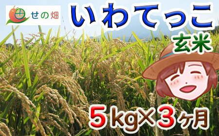 【2024年11月発送開始】 令和6年産 新米 岩手県産 いわてっこ 玄米 5kg×3ヶ月定期便 ／ 米 産地直送 農家直送 定期 【せの畑】