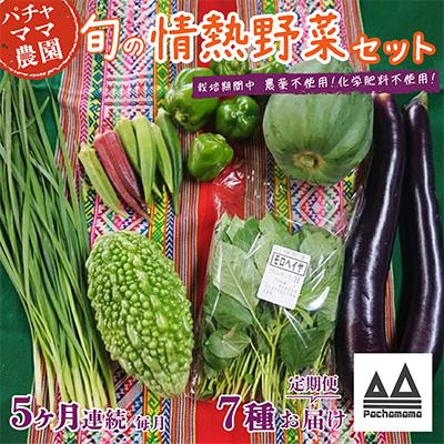 ふるさと納税 下妻市 【毎月定期便】農園自慢の情熱野菜セット7品(種類おまかせ)全5回