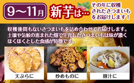 芋名人が認めるさつまいも『洗い済み　紅はるか』～2Lサイズ12本入り～_LE-L703_(都城市) 宮崎県都城産 紅はるか 2Lサイズ(12本)