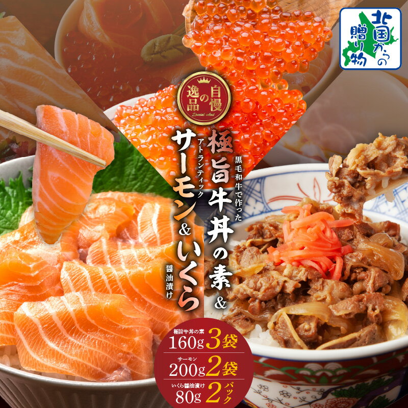 【ふるさと納税】アトランティックサーモン 200g 2袋 イクラ醤油漬け 80g 2パック 黒毛和牛使用 牛丼の素 160g × 3袋 セット 空飛ぶサーモン プチプチ食感 牛丼の具 サーモン 鮭 いくら 海鮮 海の幸 海鮮丼 肉 牛肉 牛丼 牛皿 おかず 丼 冷凍 お取り寄せ 泉佐野市 送料無料