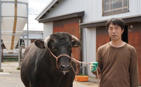 朝日町産とやま和牛　焼肉用300グラム / JAみな穂 / 富山県 朝日町 [34310029]