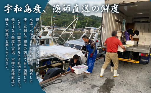 宇和島の鯛めし 1～2人前 8セット 宇和島鮮魚 鯛めし D026-200003