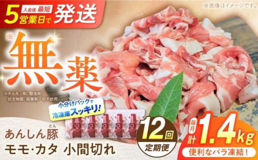【12回定期便】《バラ凍結》 モモ・カタ 小間切れ 1.4kg （280g×5袋） 豚肉 小分け 薄切り 豚こま 国産 国産豚肉 無薬 無薬育ち 薬不使用 大容量 切り落とし 豚コマ 豚小間 冷凍 ストック 炒め物 大容量 無薬育ち 切り落とし 豚切り落とし 豚こまぎれ 豚こま切れ ぶたこま モモ肉 カタ肉 お肉 国産豚 13万8千円 138000円 白川町 / 藤井ファーム [AWAF032]