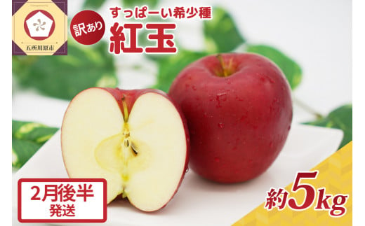 紅玉5kg 程度 紅玉リンゴ 訳あり 青森|タルトタタン に最適 不揃い りんご 11月 12月 1月 2月 3月 【2月後半発送】