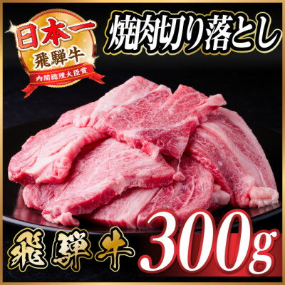 【ふるさと納税】飛騨牛 焼肉切り落とし 約300g タレ付き 訳あり【冷蔵便】A4～A5等級 黒毛和牛【配送不可地域：離島】【1721947】