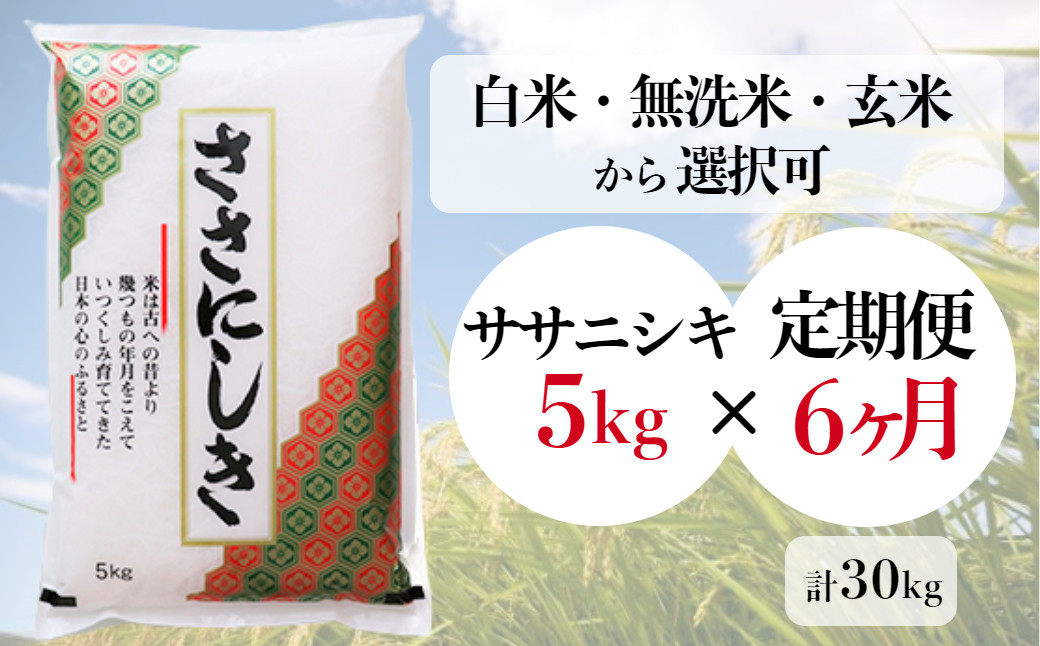 
            【定期便/6ヶ月】進さんのお米「ササニシキ 5kg」×6回(計30kg)【白米・無洗米・玄米 から選択可】
          