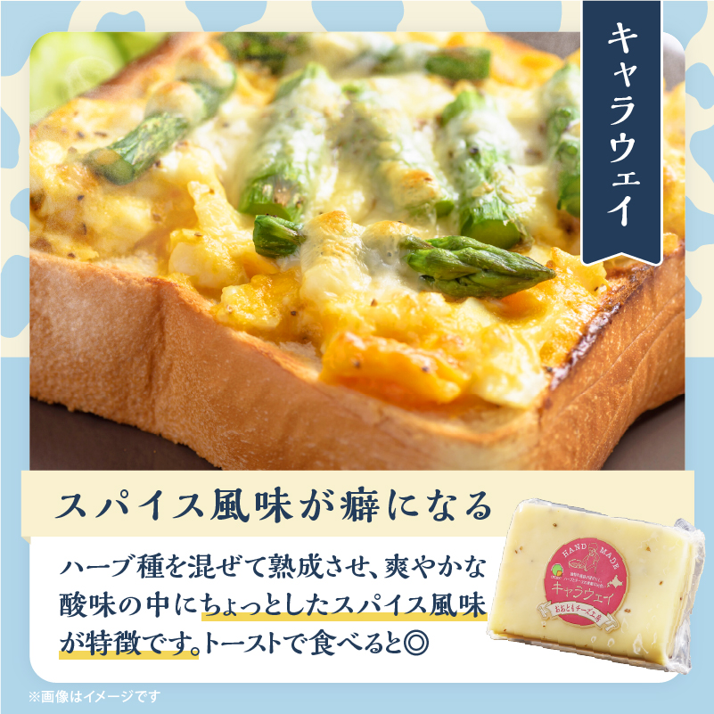 【おおともチーズ工房】《熟成の旨味を堪能!!》熟成セミハードチーズ3種セット_H0003-017