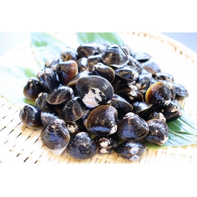【北海道小清水町】トウフツ湖　大粒しじみ貝400g×2袋(砂出し済)【配送不可地域：離島】