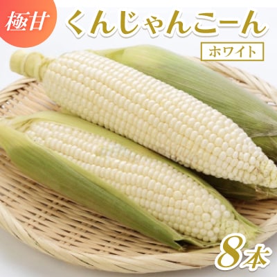 【2027年4月上旬から順次発送】春獲れ一番!極甘くんじゃんこーん ホワイト 8本 とうもろこし【配送不可地域：離島】
