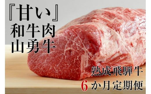 
【数量限定】熟成 飛騨牛 山勇牛 6カ月 『甘い』和牛肉 お肉の定期便 熟成肉　しゃぶしゃぶ すき焼き ブロック肉 焼肉 ステーキ サーロイン ロース 肩ロース リブロース ランプ イチボ ミスジ ザブトン
