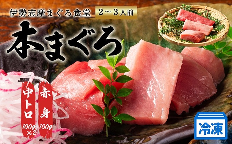 
            本まぐろ 赤身 中トロ 計300g 詰合せ2～3人前 伊勢志摩まぐろ食堂 ／本マグロ 本鮪 専門店 食べ比べ マグロ 鮪 刺身 刺し身お刺身 三重県 伊勢志摩  南伊勢町 13000円 1万円台 2万円以下 1万3千円 一万三千円
          