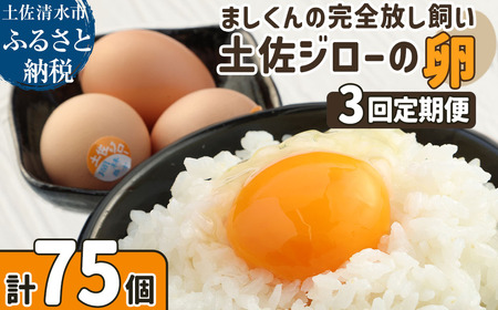 【ふるさと納税】土佐ジローの卵 定期便（25個入り×3回）もみ殻梱包 【J00144】