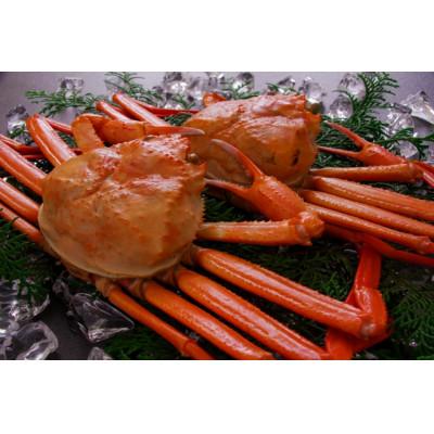 ふるさと納税 琴浦町 紅ずわいがに(ボイル)2枚(1.0kg以上)