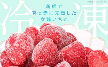 【苺ファーム森本】完熟女峰の冷凍いちご 450g×2袋 ≪IDOMALL セレクト≫|スイーツ いちご ストロベリー 女峰 苺 ジャム いちごジャム 冷凍 フルーツ 旬 果物 香川県 デザート 青果物