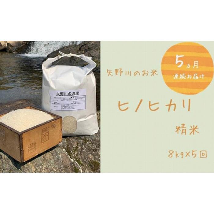【ふるさと納税】【定期便・全5回】矢野川のお米　ヒノヒカリ精米8kgx5回