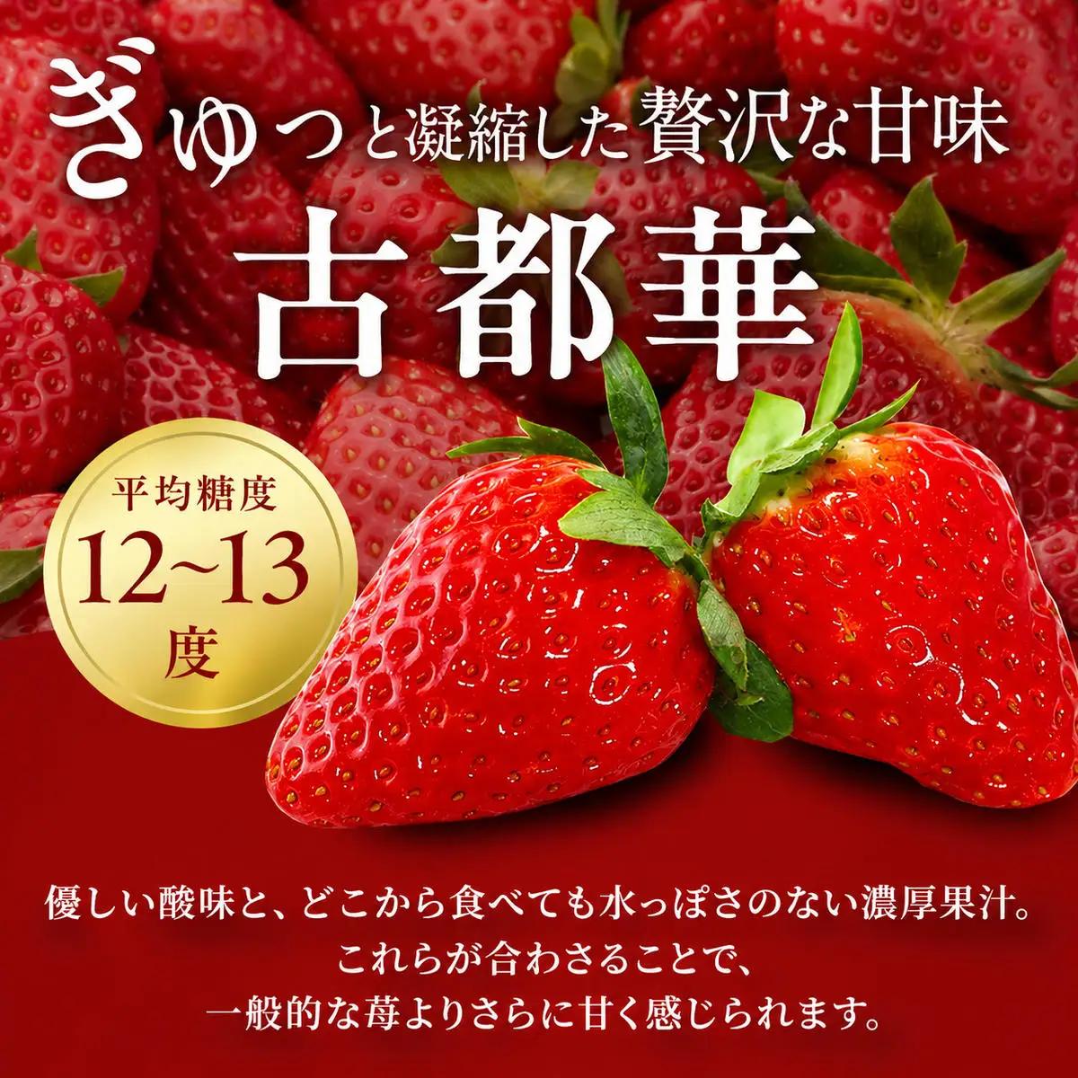 いちご 古都華 今西さん家の奈良いちご 奈良県産 いちご【約1080g 270g×4パック】【冷蔵 定期便2回】