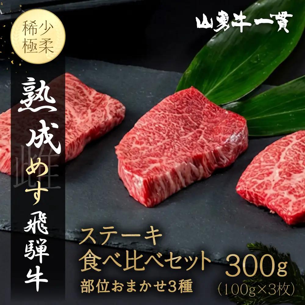 熟成めす 飛騨牛 山勇牛 部位おまかせ 3種 ステーキ 食べ比べ セット 100g×3 飛騨牛 ステーキ 食べ比べ