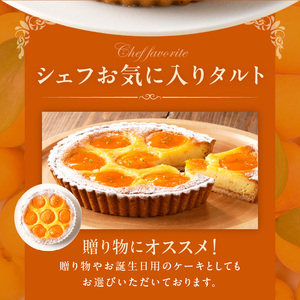 自家製アンズジャムを混ぜ込んだアーモンドクリーム！ アンズのタルト16㎝ シェフお気に入り アンズ タルト 16cmサイズ 3人分 ～ 5人分 自家製アンズジャム アーモンドクリーム ケーキ 焼き菓子