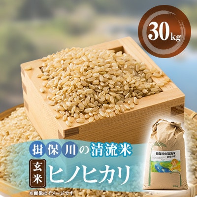 令和8年産　揖保川の清流米(ヒノヒカリ30kg) 【玄米】【1757343】