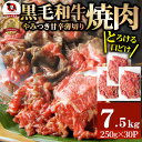 【ふるさと納税】1131-6　とろける黒毛和牛リッチな薄切り焼肉7.5kg(250g×30P) 秘伝のタレ漬け