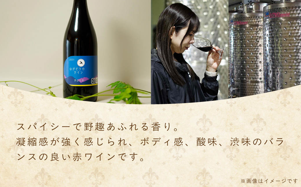 多古ワイン2021・山ぶどう月山1号【赤】【日本ワイン】750ml・1本【配送不可地域：離島・沖縄県】【1403631】 TAKM002