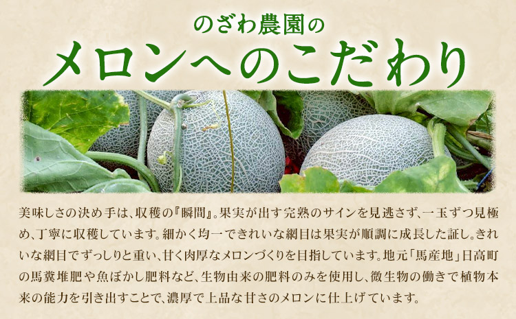 日高メロン  1玉 のざわ農園 《7月上旬-8月中旬出荷》2026年 7月出荷 北海道 日高町産 赤肉メロン 青肉メロン 旬 果物 フルーツ めろん デザート 産地直送 お取り寄せ グルメ 贈り物 ギ