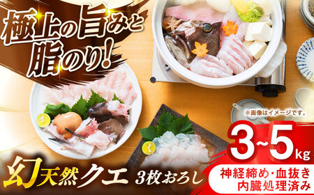 壱岐産　幻天然クエ　3枚おろし　3㎏～5㎏《壱岐市》 【みやげ処 縁由】[JBJ015]