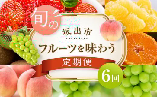 坂出市「旬のフルーツを味わう6回」定期便 【発送月：2月・4月・7月・9月・11月・12月】