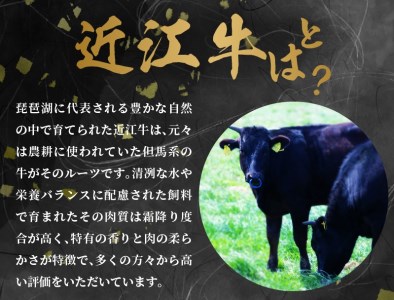 【豪華返礼品6回】近江牛プレミアム定期便