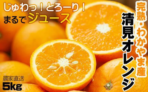 清見オレンジ【訳あり】5kg 混合サイズ 和歌山県産(2027年3月下旬頃から順次発送) 果物 フルーツ みかん 柑橘 オレンジ 清見 規格外品