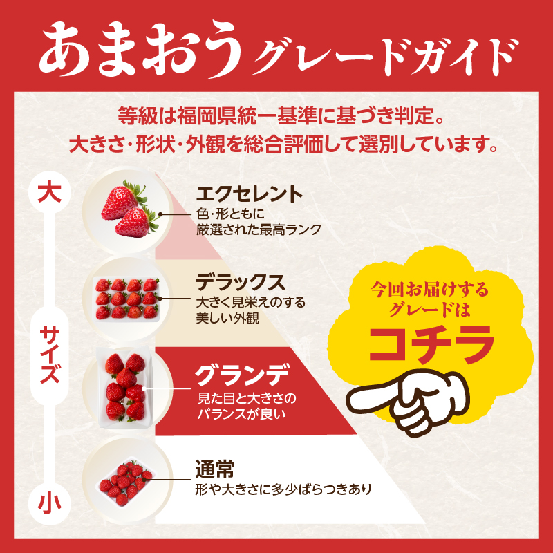 【先行受付：2027年2月発送開始】博多あまおうＧ270g×10パック｜JAふくおか八女 あまおう いちご 苺 イチゴ フルーツ 果物 くだもの 人気 旬 福岡県産 大粒 アフター補償 数量限定 期間