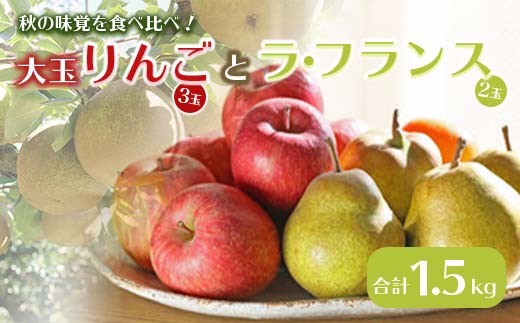 《先行予約 2026年度発送》大玉リンゴ 3玉 ラ・フランス 2玉 1.5kg  りんご リンゴ 林檎 デザート フルーツ 果物 くだもの 果実 食品 山形県 FSY-2697