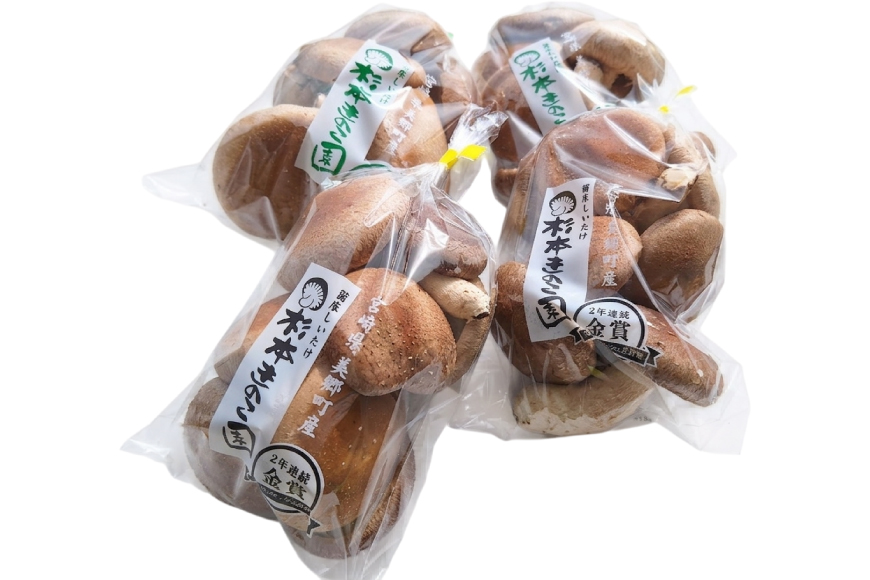 生しいたけ セット 約300g× 2袋 約150g× 2袋 計4袋 約900g [杉本きのこ園 宮崎県 美郷町 31bs0001] 菌床 椎茸 しいたけ シイタケ きのこ キノコ お鍋 天ぷら 炒め物