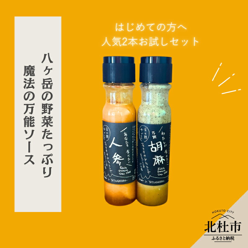 【ふるさと納税】 ドレッシング 調味料 詰め合わせ 2本 セット 200ml×2本 フェリチタ 人参ドレッシング 胡麻ドレッシング 野菜 サラダ 温野菜 肉料理 たれ 食べ比べ 手づくり 八ヶ岳 栽培期間中農薬不使用 化学調味料不使用 保存料不使用 着色料不使用 送料無料