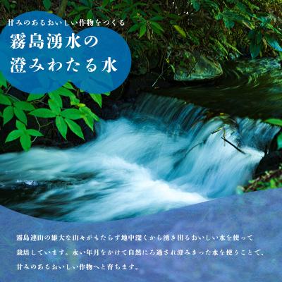 ふるさと納税 高原町 高原町産ひのひかり使用玄米パックごはん10パック(レンジ用)　TF645 |  | 02