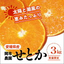 【ふるさと納税】【先行予約】【数量限定】＼農園直送／愛媛県産せとか3kg×1箱◆｜柑橘 みかん ミカン 蜜柑 果物 フルーツ 柑橘の大トロ 愛媛県産 ※2025年2月下旬頃～3月中旬頃に順次発送予定