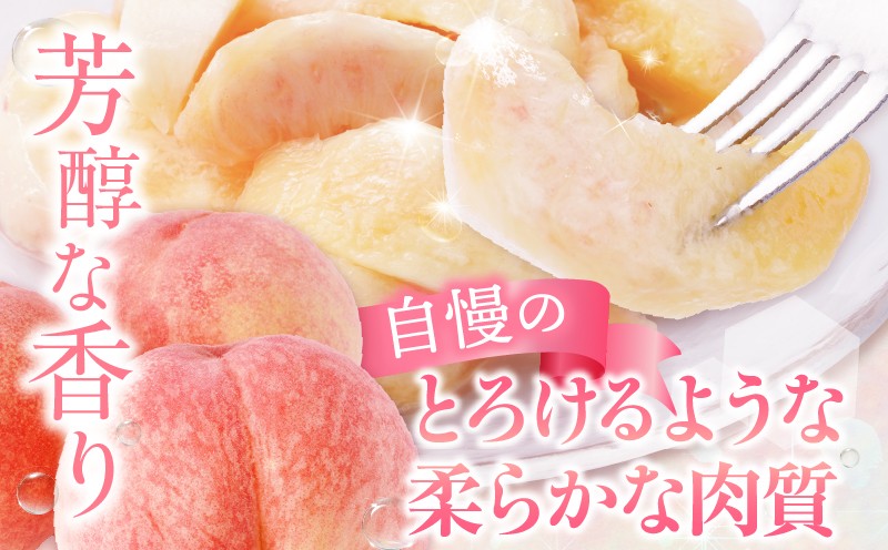 
                  【先行受付】さぬきの桃　約3.6kg　(約1.8kg  5～10玉入り×2箱) （さぬき市共通返礼品） | もも モモ 桃 果物 フルーツ さぬきの桃 香川県 三木町 青果物 デザート 旬 国産 おすすめ |_mk006-083
                