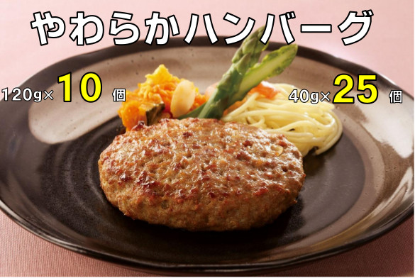 やわらかハンバーグ120g & 40g セット