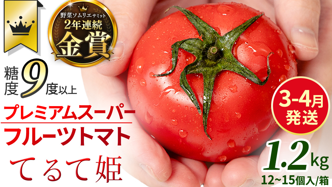 《 2027年 収穫分 》3～4月配送 スーパーフルーツトマト てるて姫 中箱 約1.2kg × 1箱 【12～15玉/1箱】 糖度9度以上 先行予約 フルーツトマト ブランドトマト 野菜 ギフト 贈