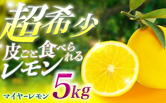 先行予約 マイヤーレモン 5kg / レモン れもん 檸檬 フルーツ 果物 / 諫早市 / 山野果樹園 [AHCF004]