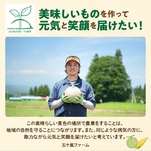 【先行予約】 令和8年産 とうもろこし 5kg ( 12本 ～ 15本 ) ×1箱 サニーショコラ ライラ 2026年7月中旬～8月中旬頃お届け予定