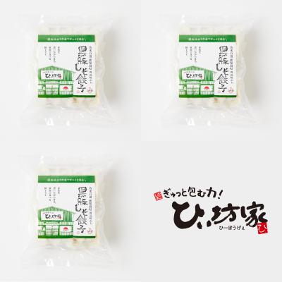 ふるさと納税 南九州市 かごしま黒豚しそ餃子60個(タレ付) |  | 01