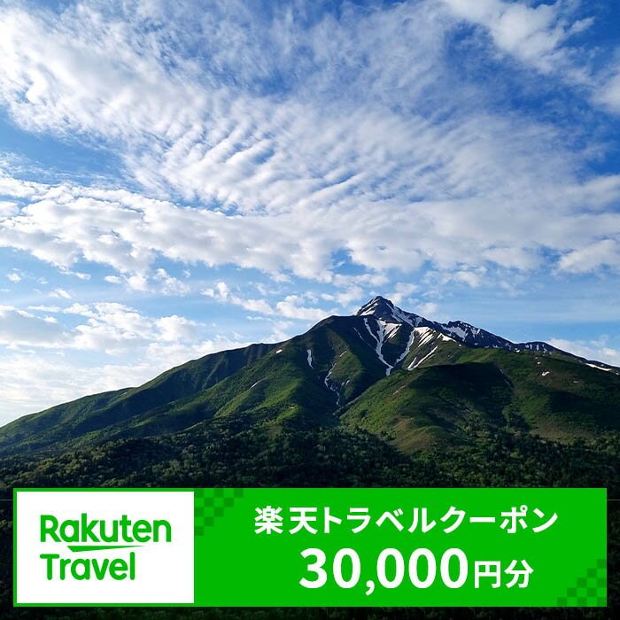 【ふるさと納税】北海道利尻富士町の対象施設で使える楽天トラベルクーポン 寄付額100,000円(クーポン30,000円分) 体験