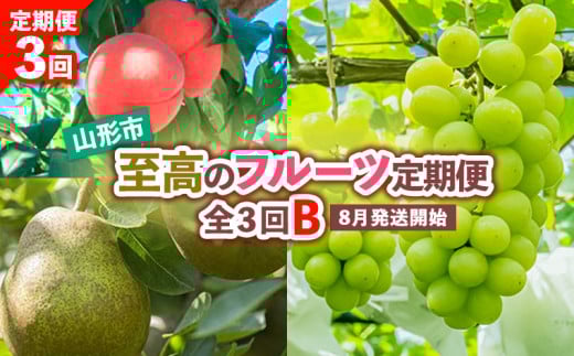 【定期便3回】山形市至高のフルーツ定期便 全3回B 8月発送開始 【令和7年産先行予約】FS24-760