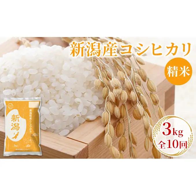 【先行予約】R8年産新潟産コシヒカリ精米3kg　全10回 お米 白米 ご飯 ブランド米 銘柄米 おにぎり お弁当 産地直送