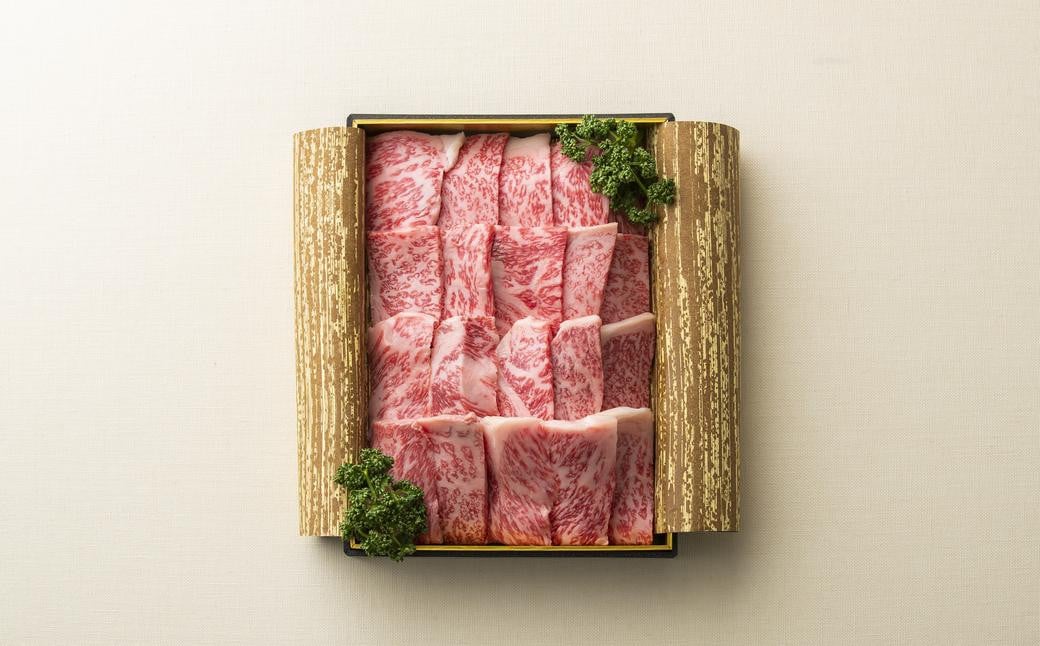 
【全6回定期便】長崎和牛 焼肉 ロース 約500g ／合計3kg 国産 肉 お肉 和牛 長崎県 長崎市
