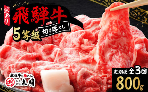 
                  ＜毎月定期便＞＜訳あり＞飛騨牛5等級　切り落とし用途いろいろ　800g全3回【4088466】
                